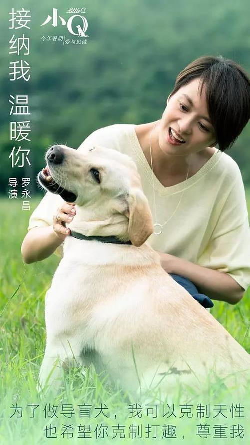 共立電気計器大学文凭
